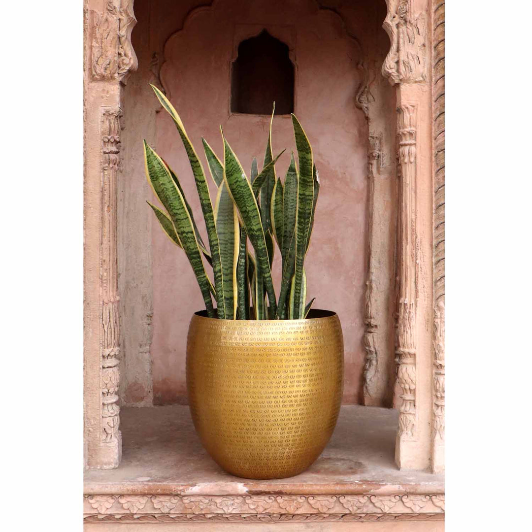Oriental flower pot Vega